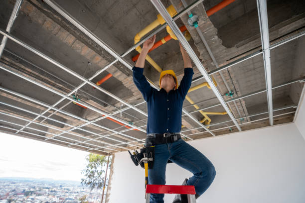 Best Residential Plumbing Services  in Pierson, FL