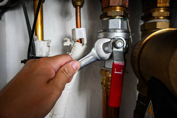 Best Clogged Drain Plumber  in Pierson, FL